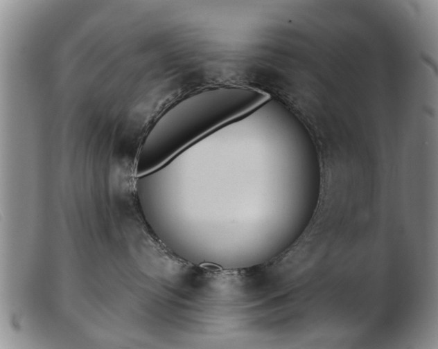 X0000103400384200809191527