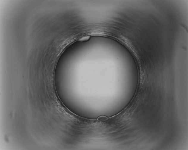 X0000103400385200809191527