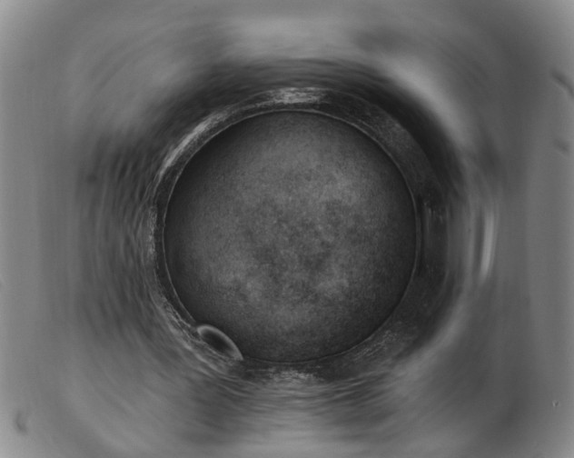 X0000103400387200809191527