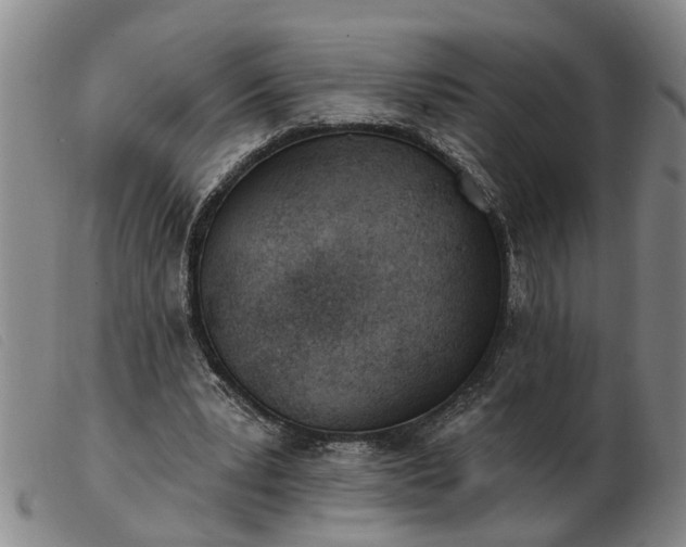 X0000103400391200809191527