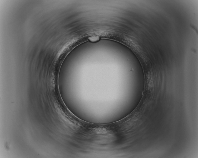 X0000103400392200809191527