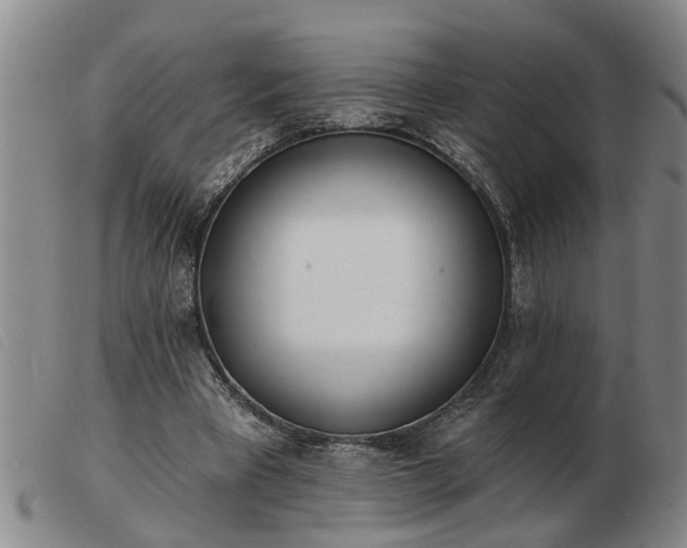 X0000103400393200809191527