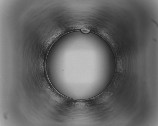 X0000103400394200809191527