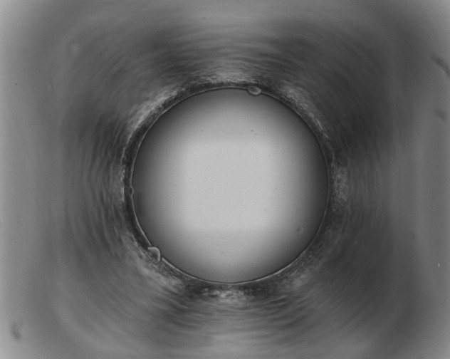 X0000103400395200809191527