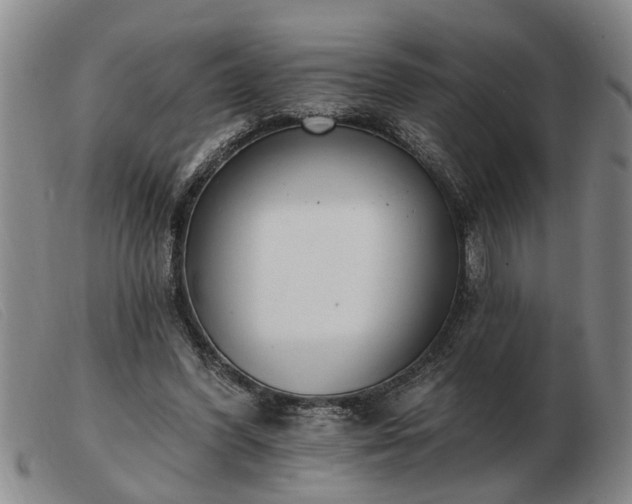 X0000103400396200809191527