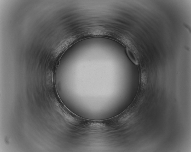 X0000103400397200809191527