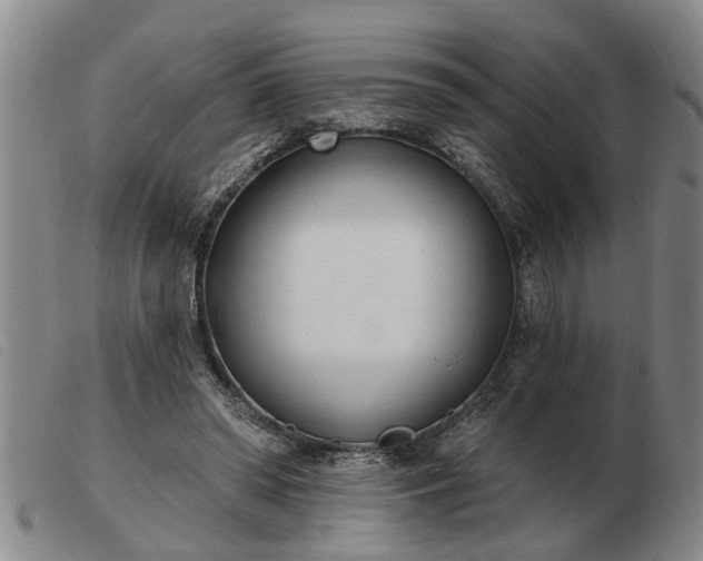 X0000103400398200809191526