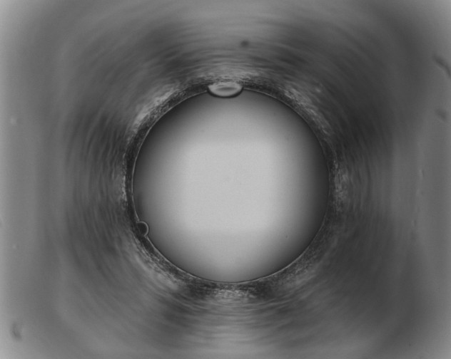 X0000103400399200809191526