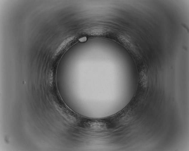 X0000103400400200809191526