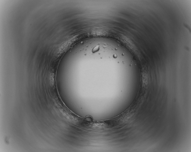 X0000103400401200809191526