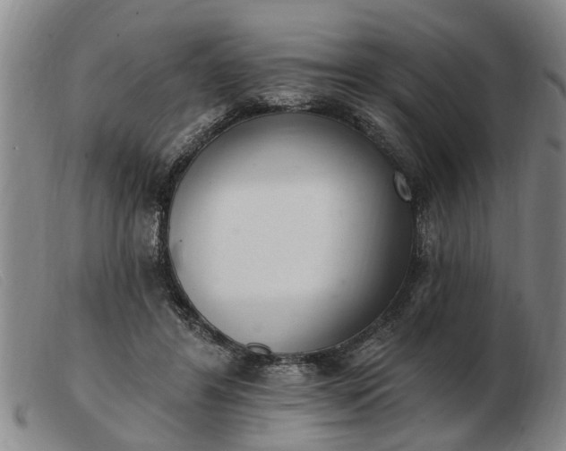 X0000103400404200809191526