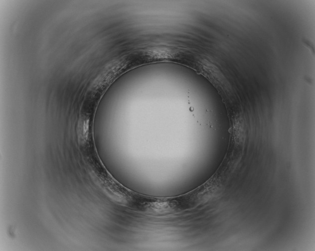 X0000103400406200809191526