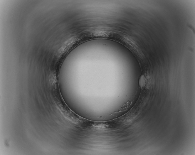 X0000103400407200809191526