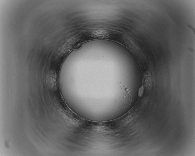 X0000103400408200809191526