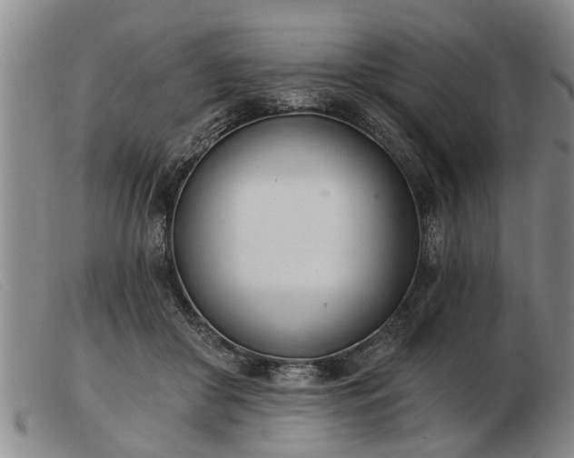 X0000103400410200809191526