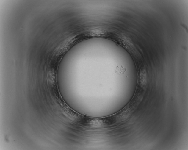 X0000103400413200809191526