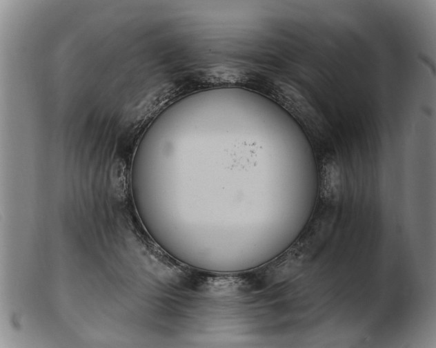 X0000103400414200809191526