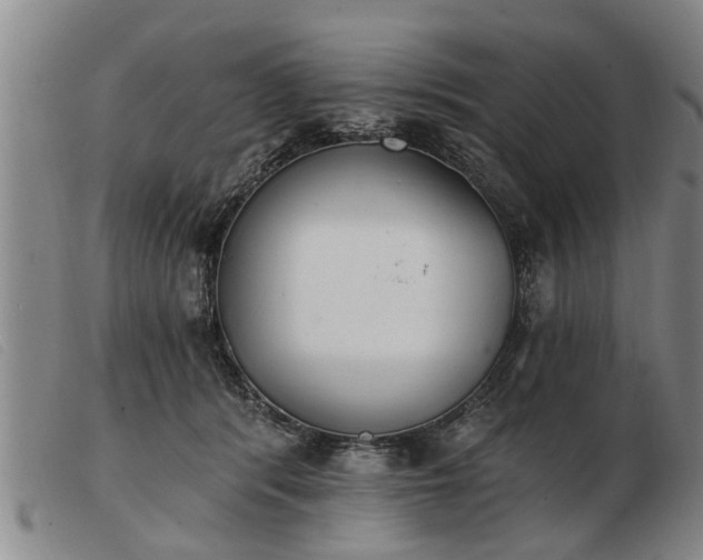 X0000103400416200809191526