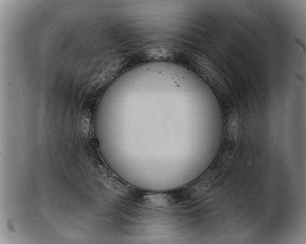 X0000103400417200809191526