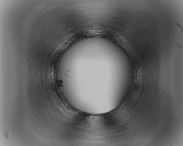 X0000103400418200809191526