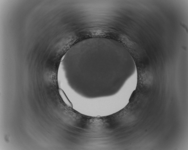 X0000103400419200809191526