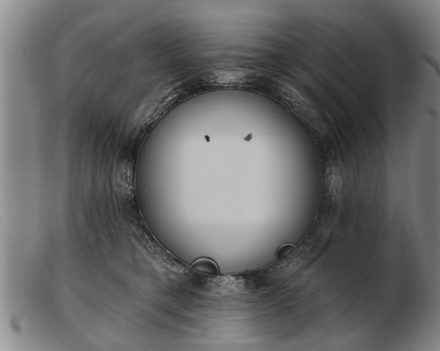 X0000103400421200809191526