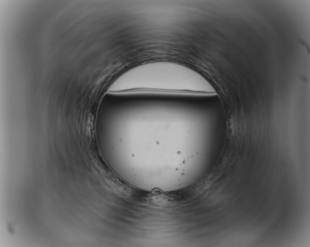 X0000103400423200809191526