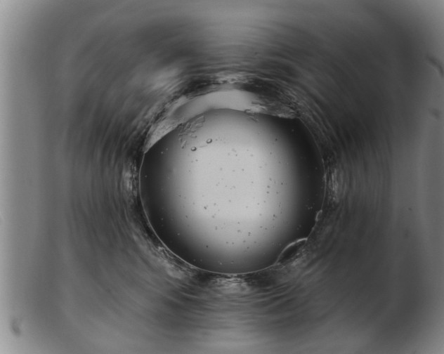 X0000103400424200809191526