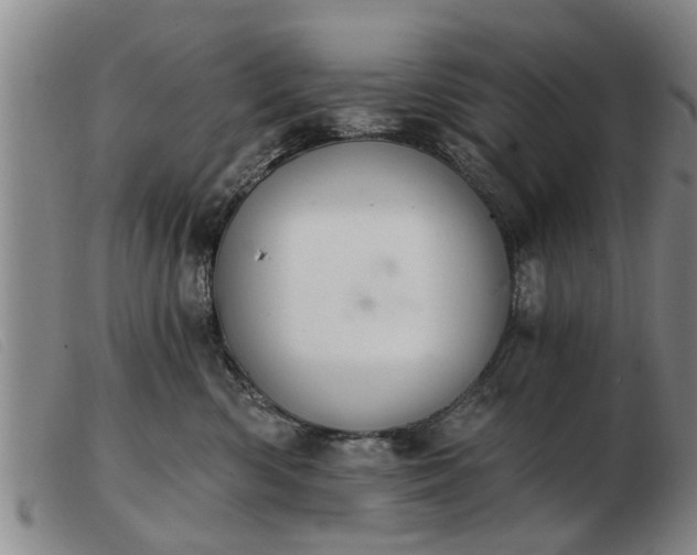 X0000103400426200809191526