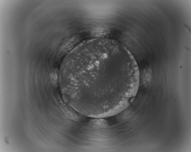 X0000103400427200809191526