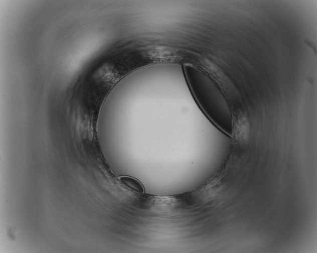 X0000103400429200809191526