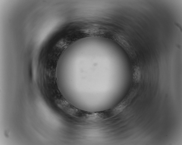 X0000103400430200809191526