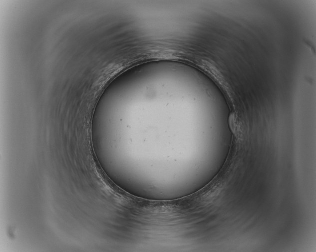 X0000103400433200809191525