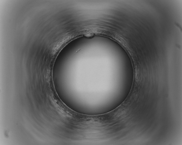 X0000103400434200809191525