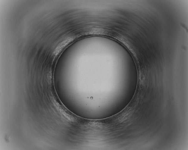 X0000103400437200809191525