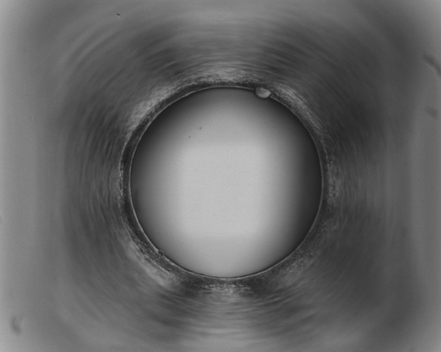 X0000103400439200809191525