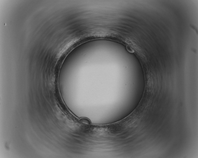 X0000103400440200809191525