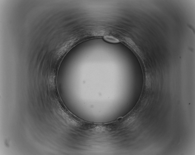 X0000103400441200809191525