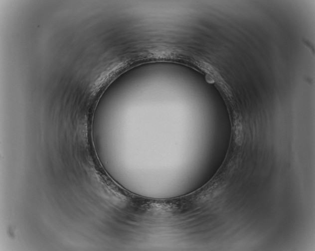 X0000103400442200809191525