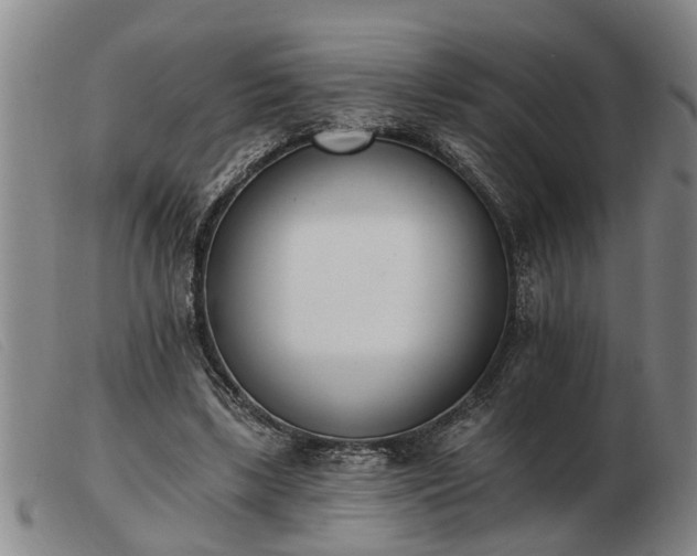 X0000103400443200809191525