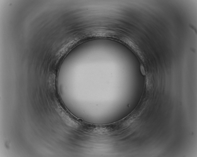 X0000103400445200809191525