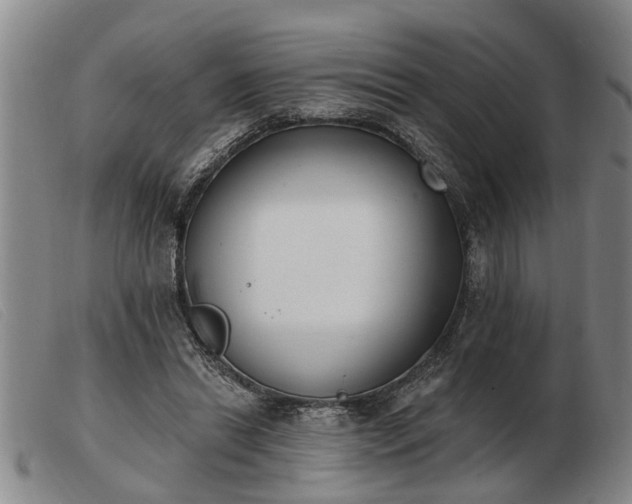 X0000103400446200809191525