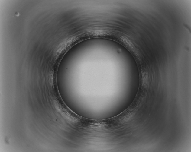 X0000103400447200809191525