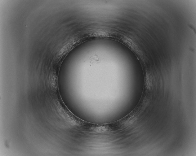 X0000103400449200809191525