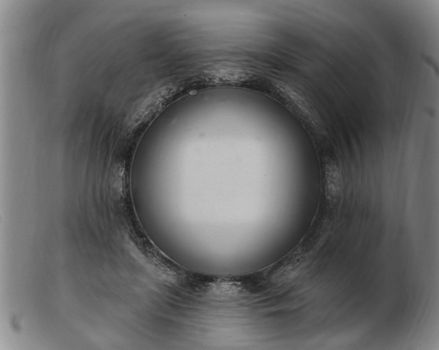 X0000103400451200809191525