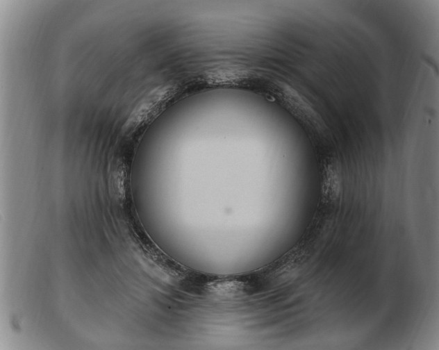 X0000103400452200809191525