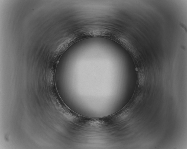 X0000103400453200809191525