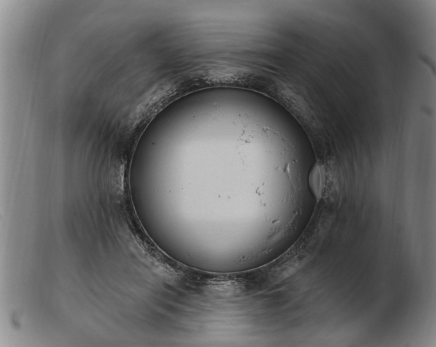 X0000103400454200809191525