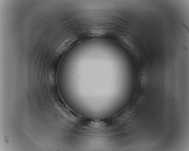 X0000103400455200809191525