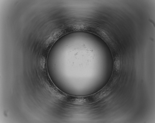 X0000103400458200809191526